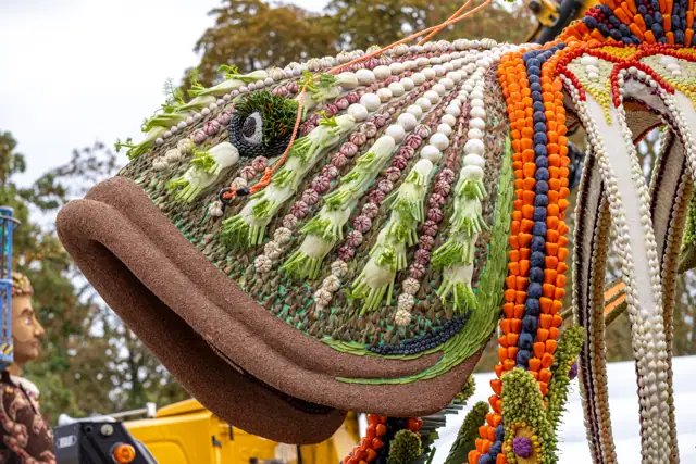 Close-up van de kop van een fruitkunstwerk
